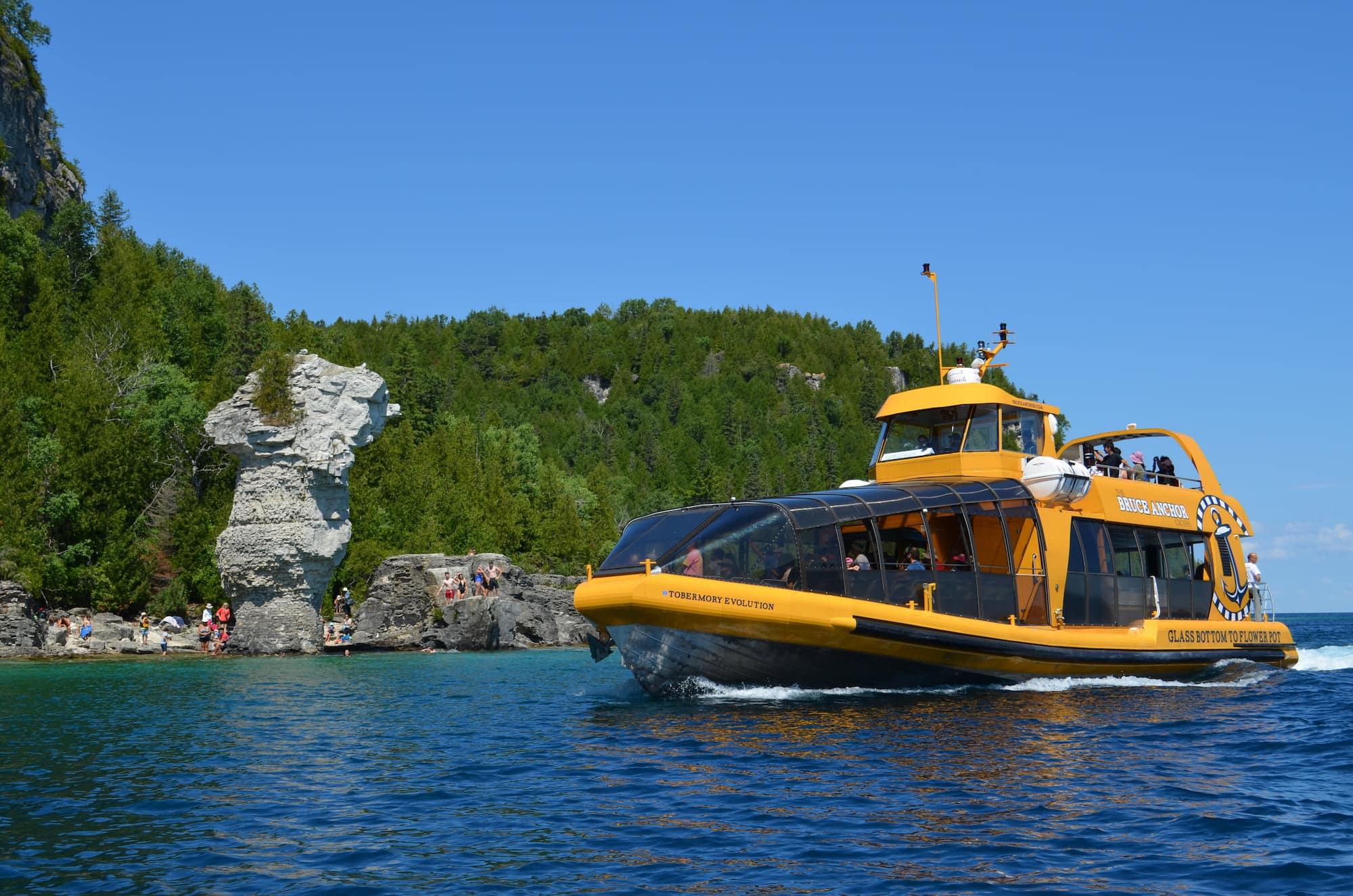 A glass-bottomed boat passes the Flowerpot Island sea stack in crystal-clear waters, surrounded by wooded cliffs and tourists enjoying the view.
